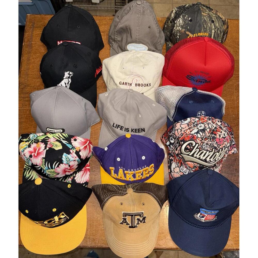 Lot of 15 Modern Mix of Hats Adjustable Caps Snap Strapback Random Variety